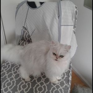 Lululemon Runder Under